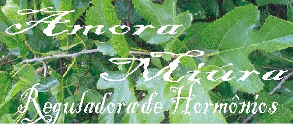 amoramiurareguladora1