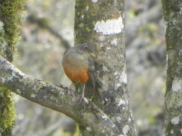 dscn1432