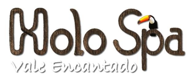 logoholospa