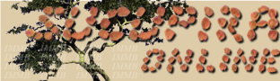 logosucupirasite2