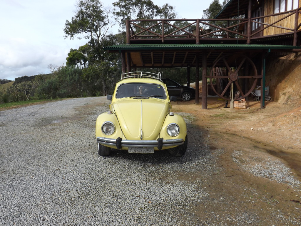 DSCF7871